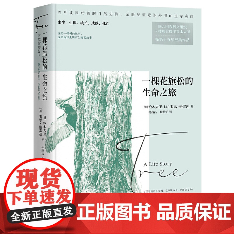 一棵花旗松的生命之旅高清大图