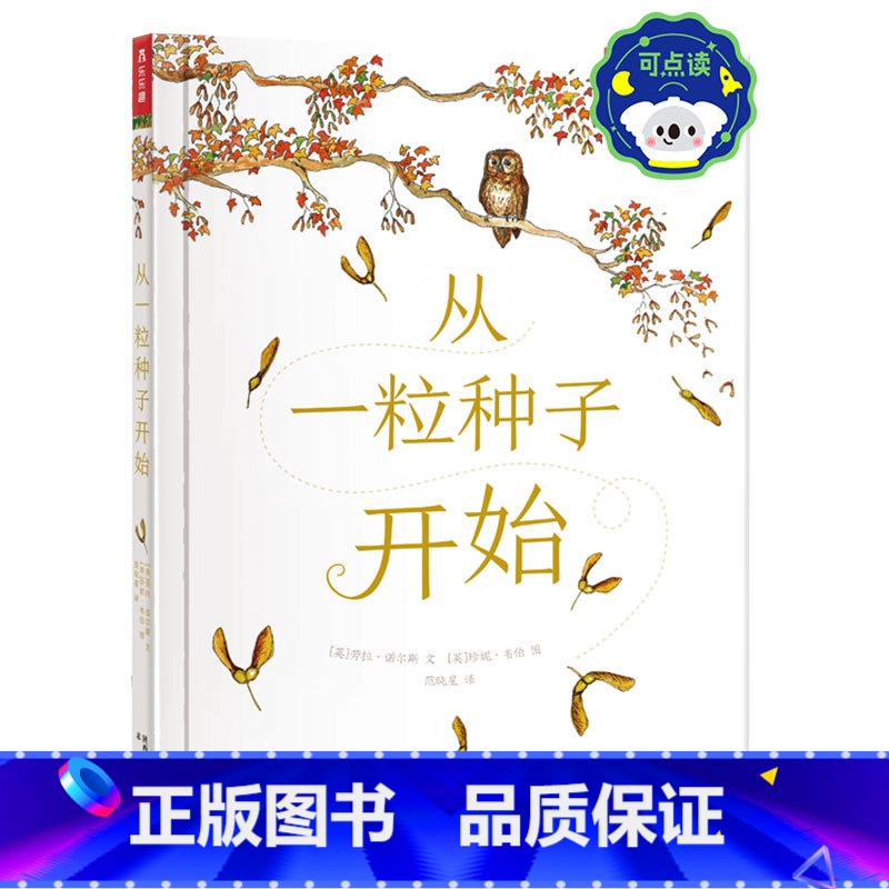 从一粒种子开始 点读版 【正版】 精装绘本 从一粒种子开始 可点读 直观呈现种子成为大树让孩子懂得坚定版画画风精美插图3