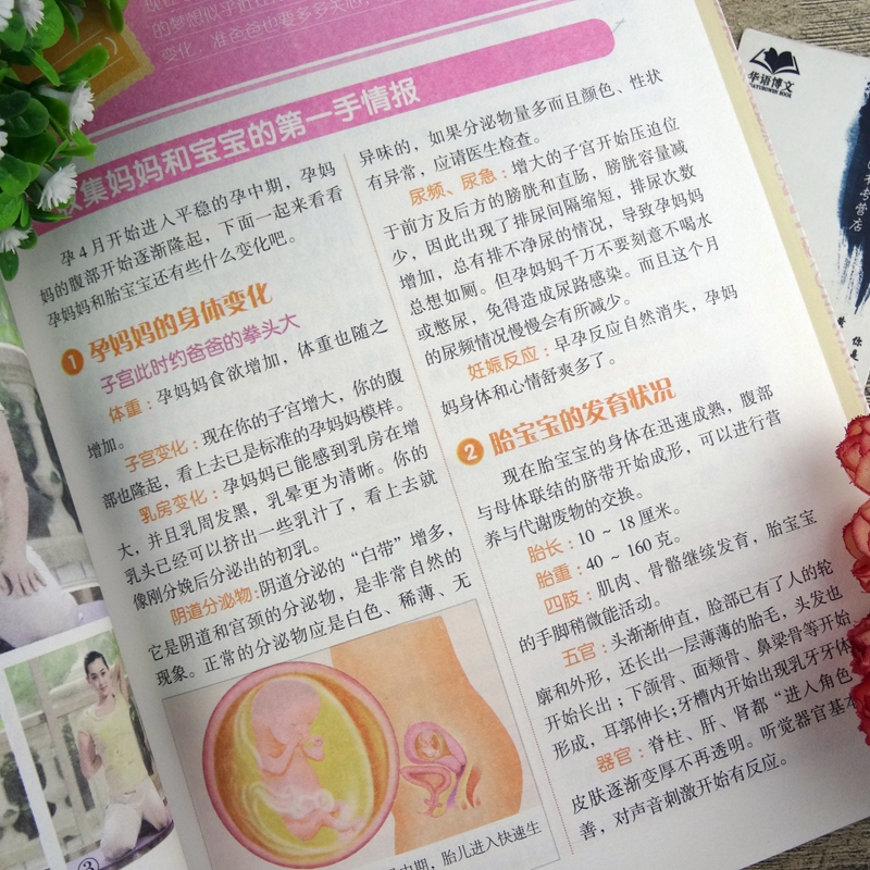 [正版]彩色图解版 妊娠分娩育儿大全 孕妇书籍 怀孕书 孕前准备 妊娠期 分娩期 新生儿期 婴幼儿期生理特点 饮食营养保高清大图