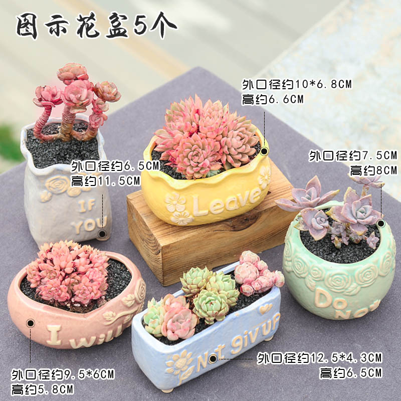 多肉花盆陶瓷创意复古个性植物粗陶室内小花盆大口径古达花盆容器英文七彩五个报价 参数 图片 视频 怎么样 问答 苏宁易购