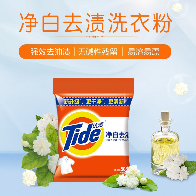 汰渍净白去渍强效去油污除菌香味持久洗衣粉508g便携装