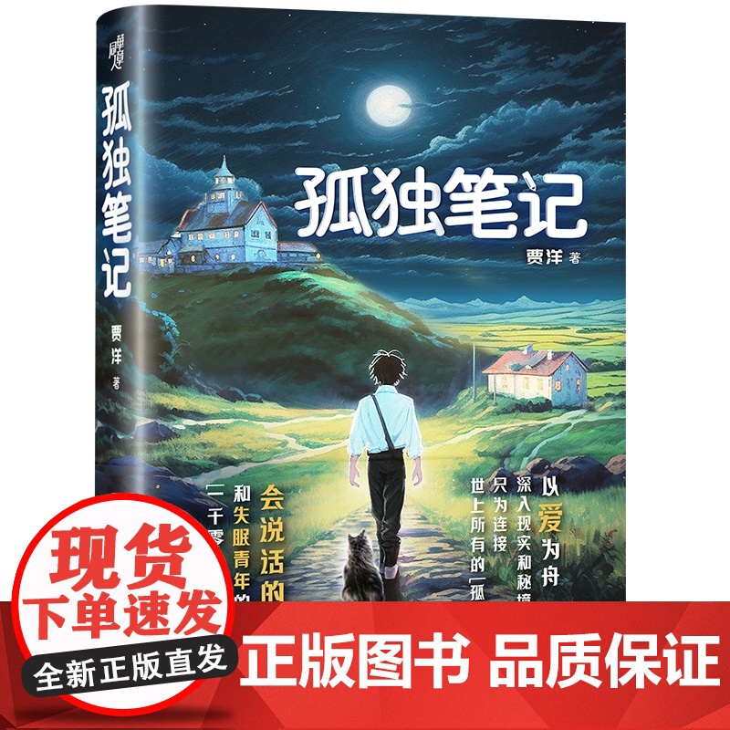 孤独笔记 贾洋 献给千千万万踯躅在人生路口的年轻人 情感奇幻小说高清大图