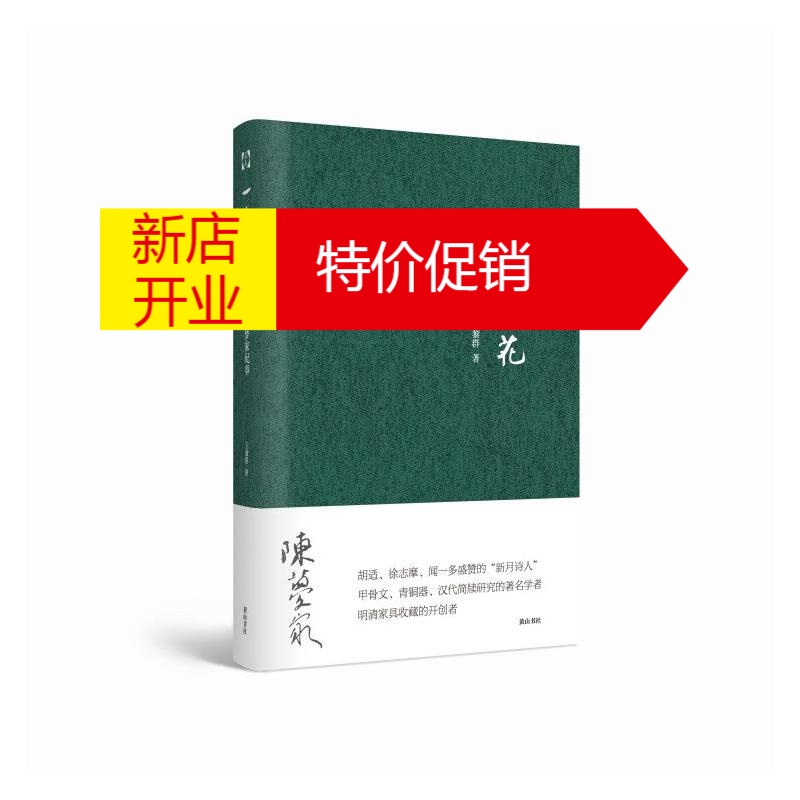 鹏辰正版一朵野花陈梦家纪事王黎群参数