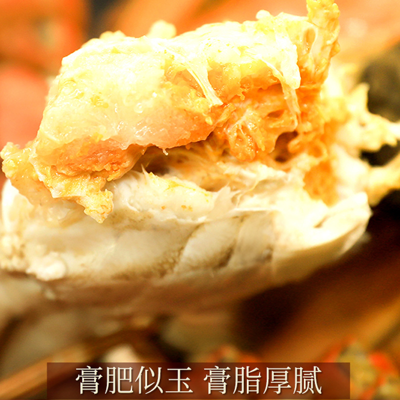 [活蟹]缘蟹汇牌大闸蟹6888型 公蟹6.0两/只 母蟹4.0两/只 5对10只 去绳净重 生鲜活蟹 中秋礼品