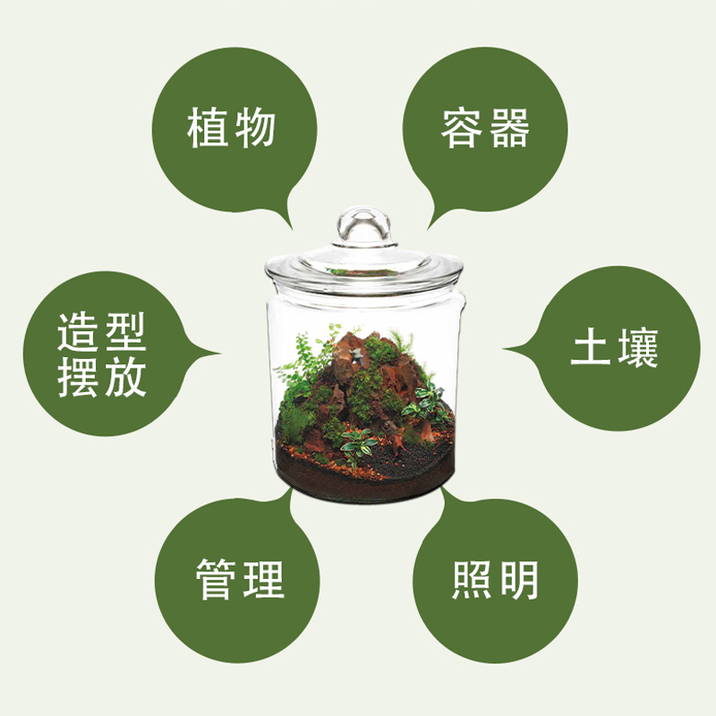 [正版]苔藓生态瓶 教你打造迷你玻璃微景观花园制作花卉DIY盆栽缸种植物技巧教程与养护图鉴多肉花艺园艺创意设计图谱多肉高清大图