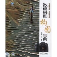 正版新书]数码摄影构图宝典孙迎新9787512317543