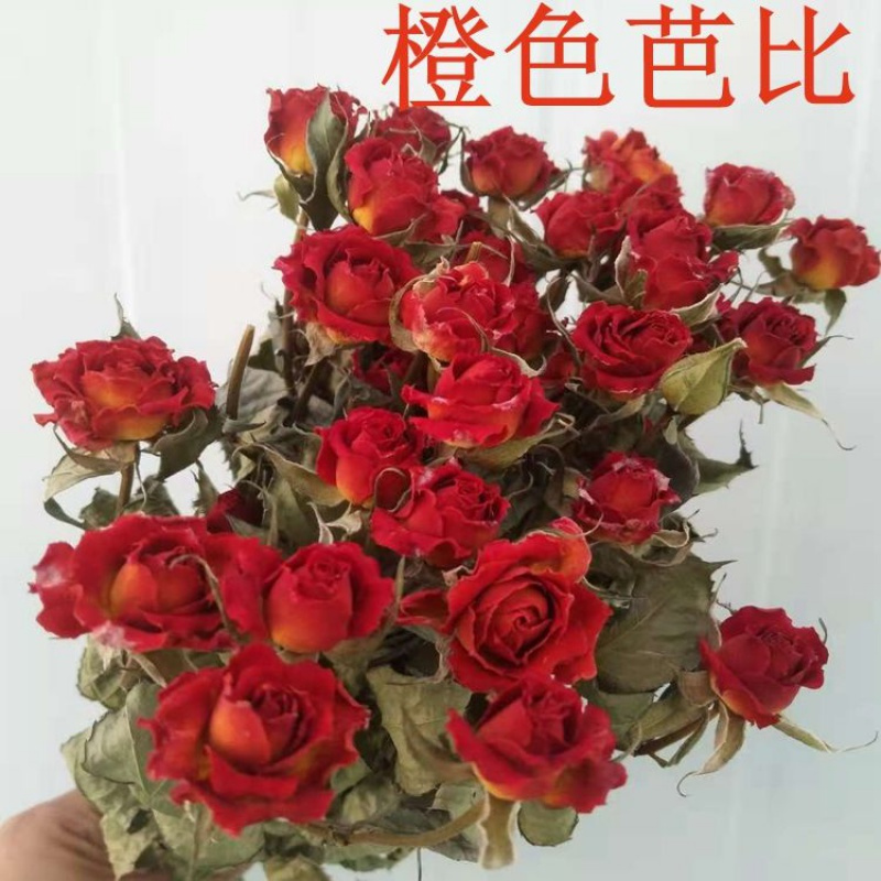 派诺孚 Painuofu 花瓶 花艺橙色芭比10枝30朵花 买玫瑰送情人草干花 干花花束玫瑰干花北欧风小清新家居蔷薇花花束 办客厅装饰玫瑰泡泡 价格图片品牌报价 苏宁易购小桐家居拼购店