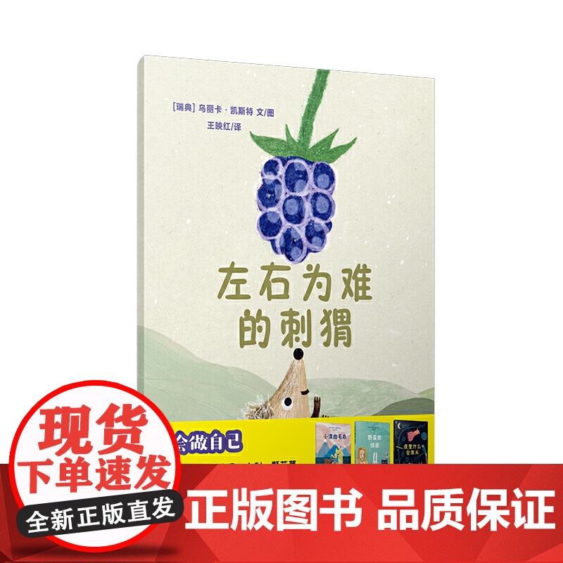 左右为难的刺猬