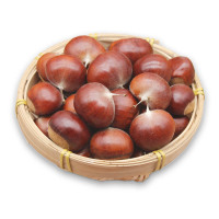 山东新鲜板栗2.5kg毛栗子生板栗子