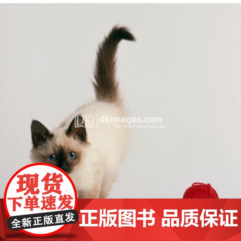 DK猫咪百科 宠物百科猫奴铲屎官工具书纯种猫图解百科全书科学喂养呵护猫咪理解习性选择爱猫伴侣动物行为学家 上海文化出版社高清大图