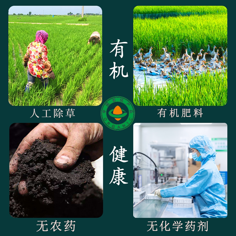 溢田有机黄豆800g新大豆打豆浆专用五谷杂粮东北粗粮农家发芽黄豆高清大图