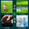 溢田有机黄豆800g新大豆打豆浆专用五谷杂粮东北粗粮农家发芽黄豆