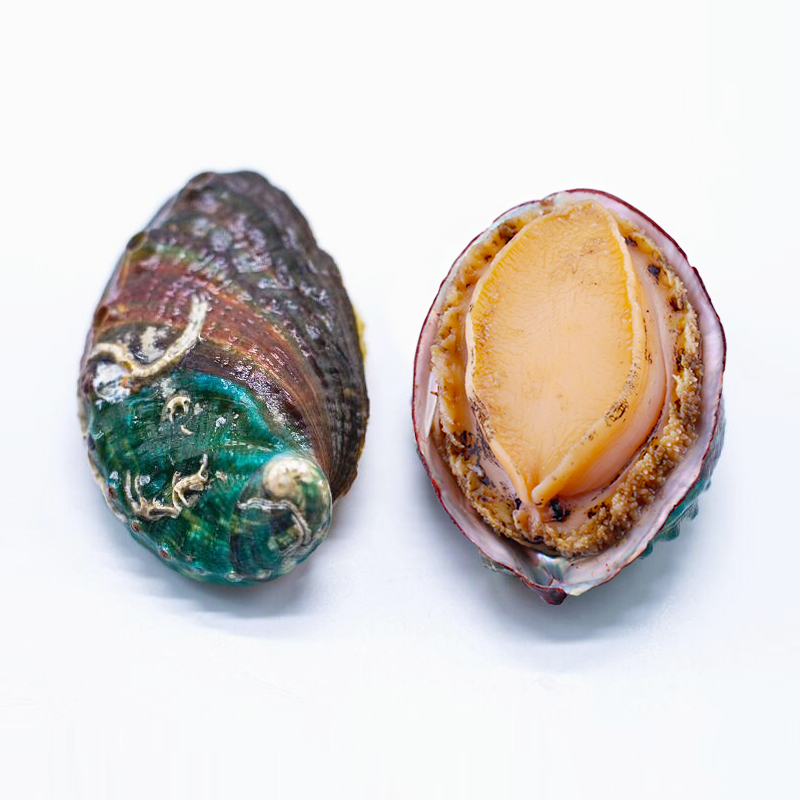 海洋岛去肚去脏即食冷冻鲍鱼海鲜水产生鲜新鲜海产10只(270g)/袋*2