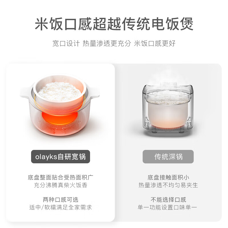 OLAYKS电饭煲家用2L多功能蒸煮炖煲汤一体2-4人智能预约 3L 陶白-双层竹笼+炖盅+pp蒸笼DFB06005高清大图