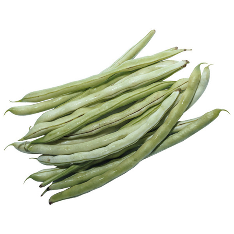 芸豆老来少白芸豆新鲜白芸豆2
