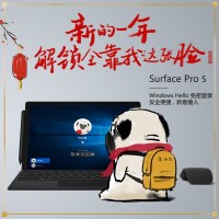 微软（Microsoft）Surface New Pro5 i5 16G 256GB固态 12.3英寸 娱乐 商务办公 移动 便携 二合一笔记本平板电脑 正版Win10 灰钴蓝键盘