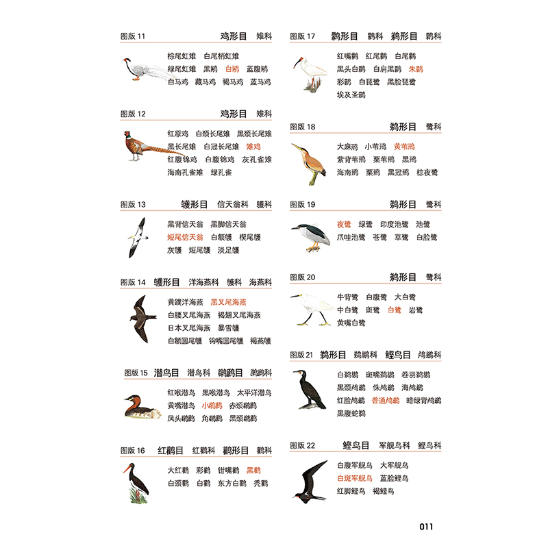 正版新书]中国鸟类野外手册 马敬能新编版(全2册)[英]约翰·马敬高清大图