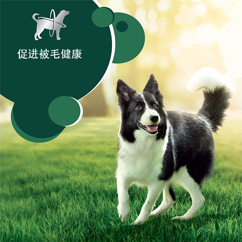 纽贝斯Nuatpeis烘焙幼犬粮-鸡肉三文鱼红薯1360g/袋高清大图