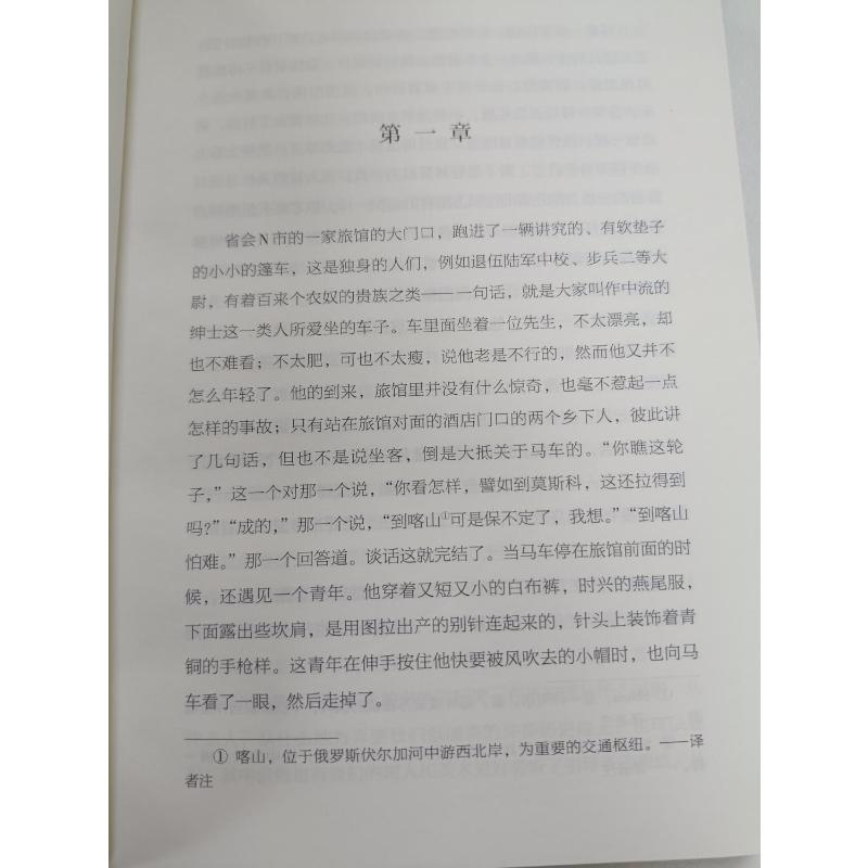 醉染图书死魂灵9787531352426高清大图