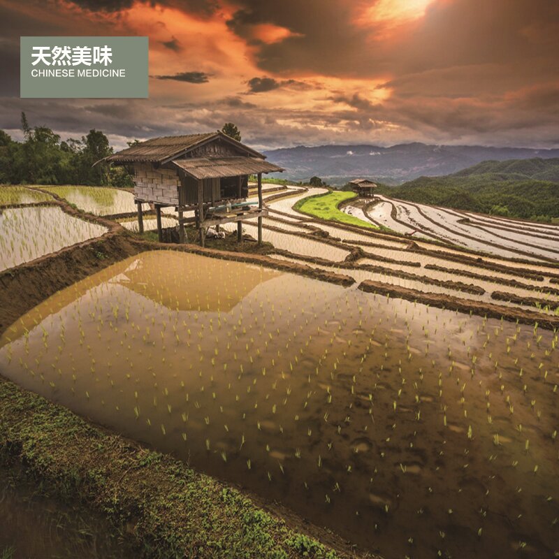 苏米丰生态香米(精品)高清大图