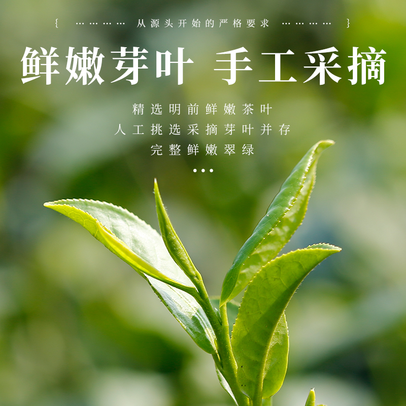 林湖茶叶 拍一发二 浓香型明前毛尖绿茶散装毛峰大罐装口粮茶共500g
