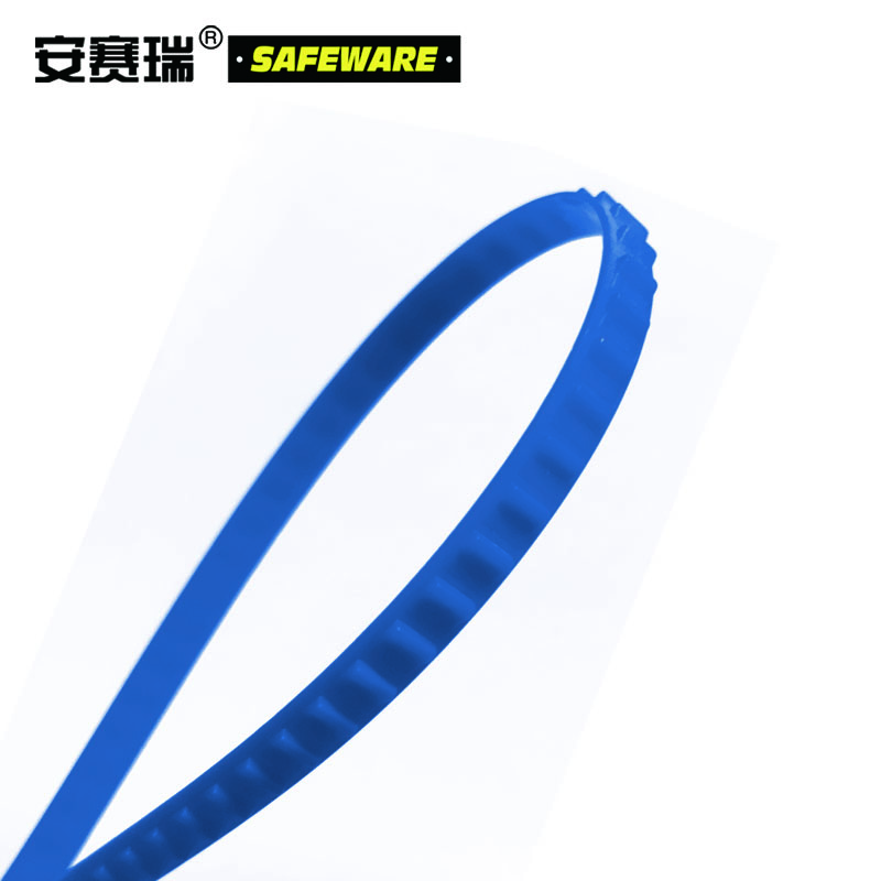 安赛瑞 塑料卡扣封条 塑料铅封 集装箱货柜车铅封蓝色 全长40cm(100根装)23481 6包装 单位:件
