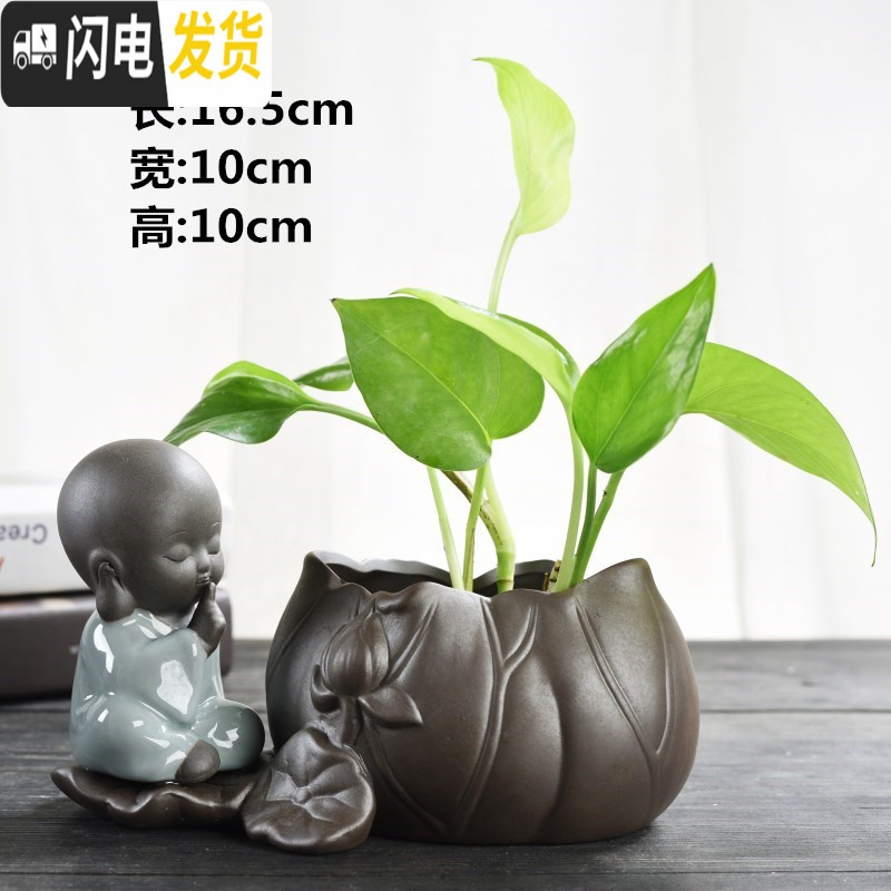 三维工匠创意绿萝水培花瓶容器鲜花植物插花水养花盆器皿客厅装饰品小摆件 睡莲花器-勿言 中等花盆容器