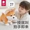 babycare 电动毛绒玩具会说话鸭子鹦鹉复读鸭哄娃神器生日礼物 毛绒小狗柴犬 电动毛绒玩偶
