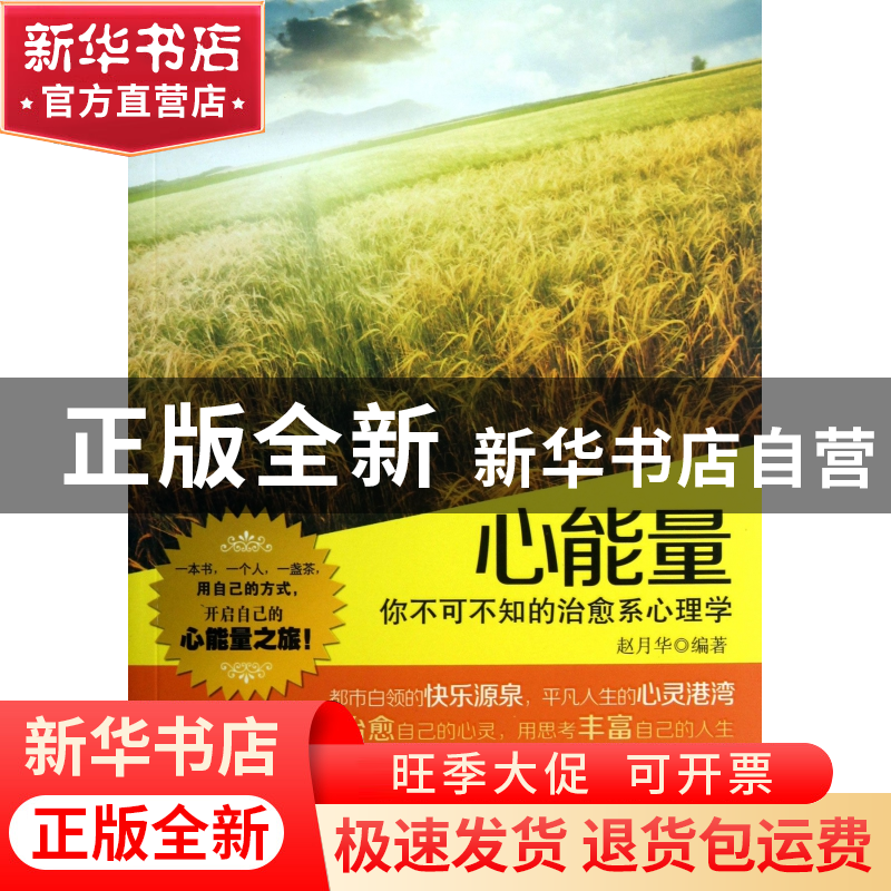 正版 心能量(你不可不知的治愈系心理学) 赵月华 中国言实 978751