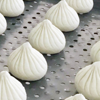 天津 狗不理 冷冻猪肉包子(简装)500g(15个)