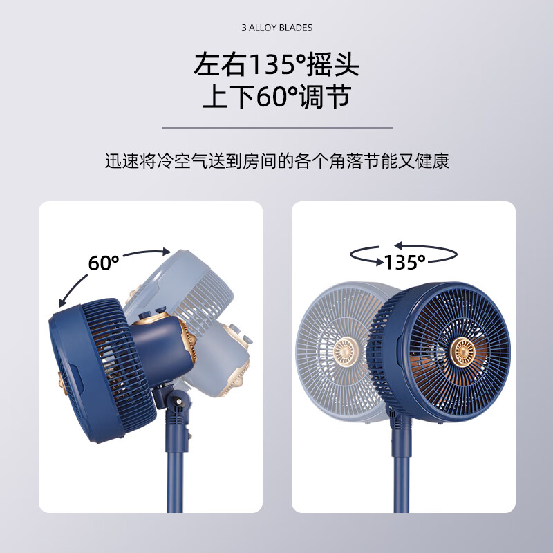 长虹(CHANGHONG)电风扇CFS-20A1机械循环扇高清大图