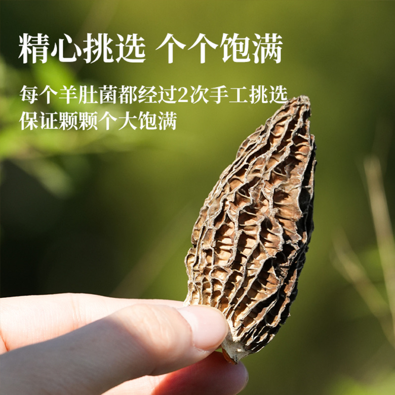 菌迹羊肚菌干品野生级礼品盒天然野生原始菌香纯手工采摘烘干煲汤红烧 40g礼盒装高清大图