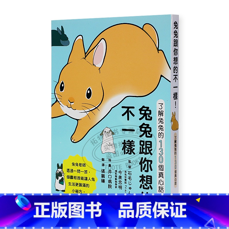 [正版]在途 石毛じゅんこ兔兔跟你想的不一样!了解兔兔的130个真心话今泉忠明 枫叶社文化 剪刀手明空读书 原版进口书高清大图