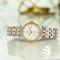 天梭(TISSOT)瑞士手表 力洛克系列钢带机械女表 经典商务表T006.207.22.038.00