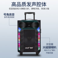 先科(SAST) 8英寸便携式广场舞音响 户外蓝牙插卡拉杆音箱 大功率低音炮K歌无线麦克风扩音器