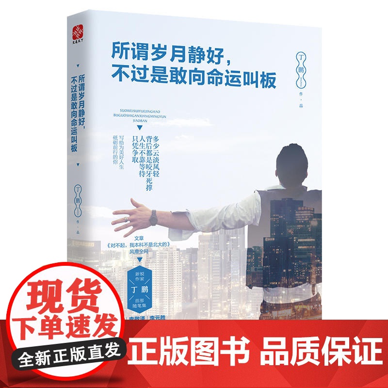 所谓岁月静好,不过是敢向命运叫板 丁鹏 天津人民出版社 正版书籍