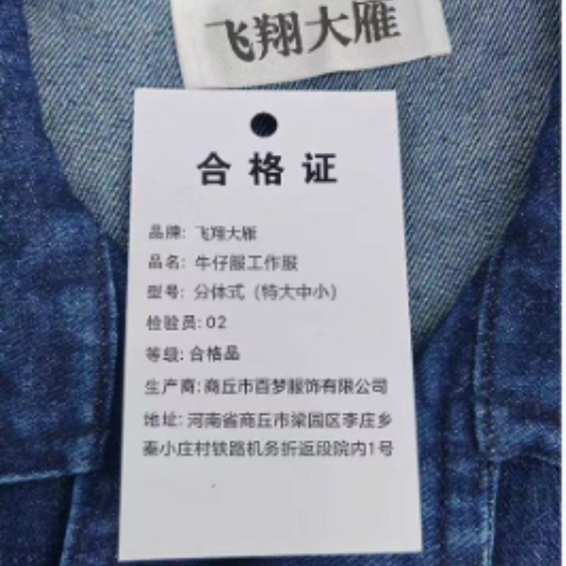 飞翔大雁 牛仔服 分体式(特大中小)套高清大图