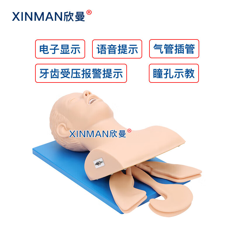 欣曼科教 电子人体气管插管操作训练模型 高级气道管理模拟人XM-5100高清大图