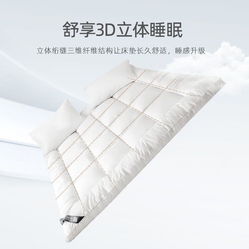 加厚床垫家用软垫榻榻米垫子单人垫褥租房垫被冬季图片