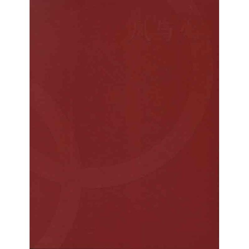 正版新书】凤与火-北京2008年奥林匹克运动会火炬接力形象景观设