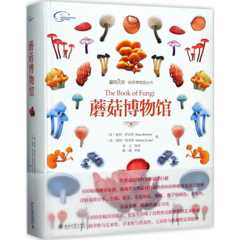蘑菇博物馆