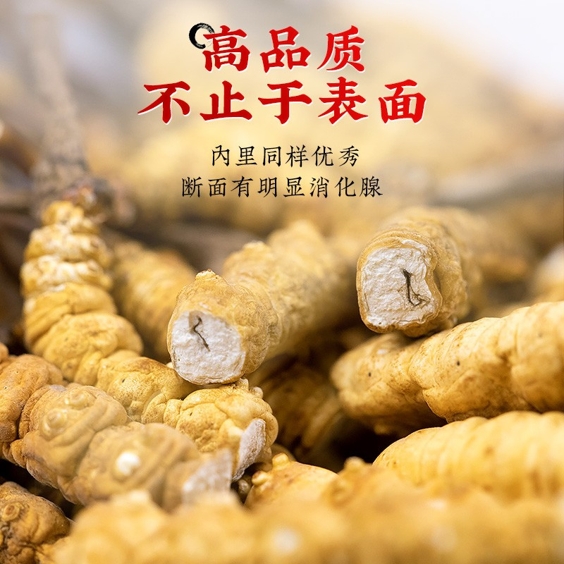 宝丰堂藏冬虫夏草头期干货3根/克10克新鲜干虫草礼盒装
