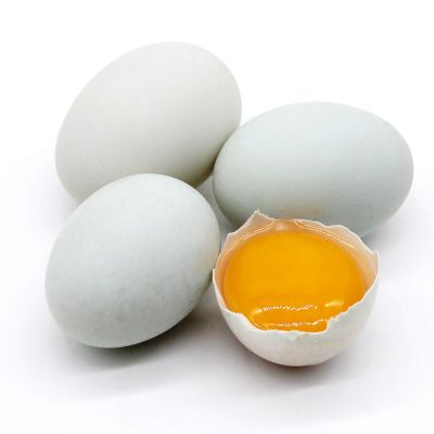 【西沛生鲜】新鲜生鸭蛋 10枚 60-70g/个 农家散养新鲜正宗土鸭子蛋