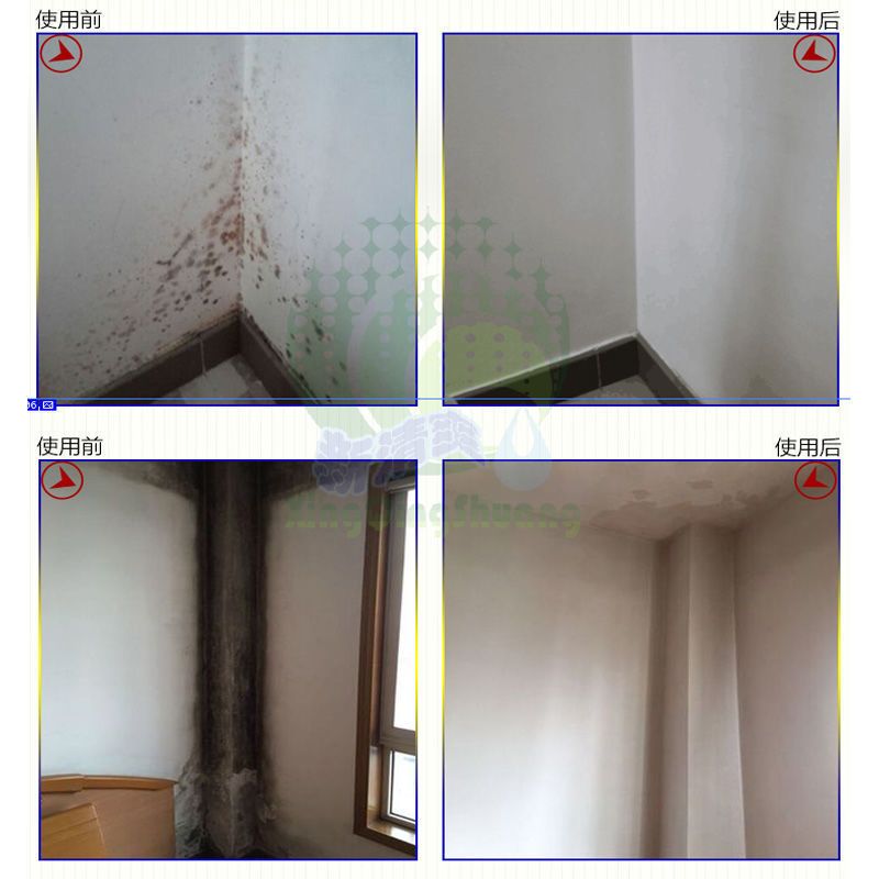 墙体地面除霉剂浓缩马桶盖去污除青苔去除剂高浓缩霉菌防霉清洁 两瓶