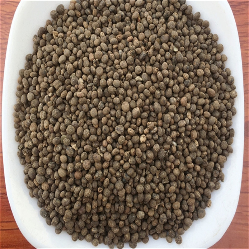 急性子500克 凤仙花子 指甲花籽 正品新货精选 急性籽高清大图