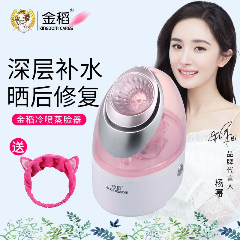 金稻冷喷蒸脸器 KD23318 纳米离子 抗过敏补水喷雾 家用美容仪 蒸面器