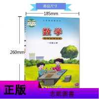 [套装2本]2019适用 1一年级上册下册数学书西师大版 小学课本教材教科书 西南师范大学出版社 1一年级数学书上下