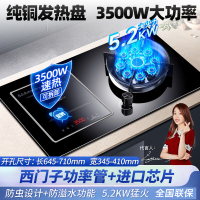 欢呼好太太气电两用灶燃气灶 气电灶 一气一电双眼灶煤气灶灶具 电磁炉打火灶左电右气液化气灶A020