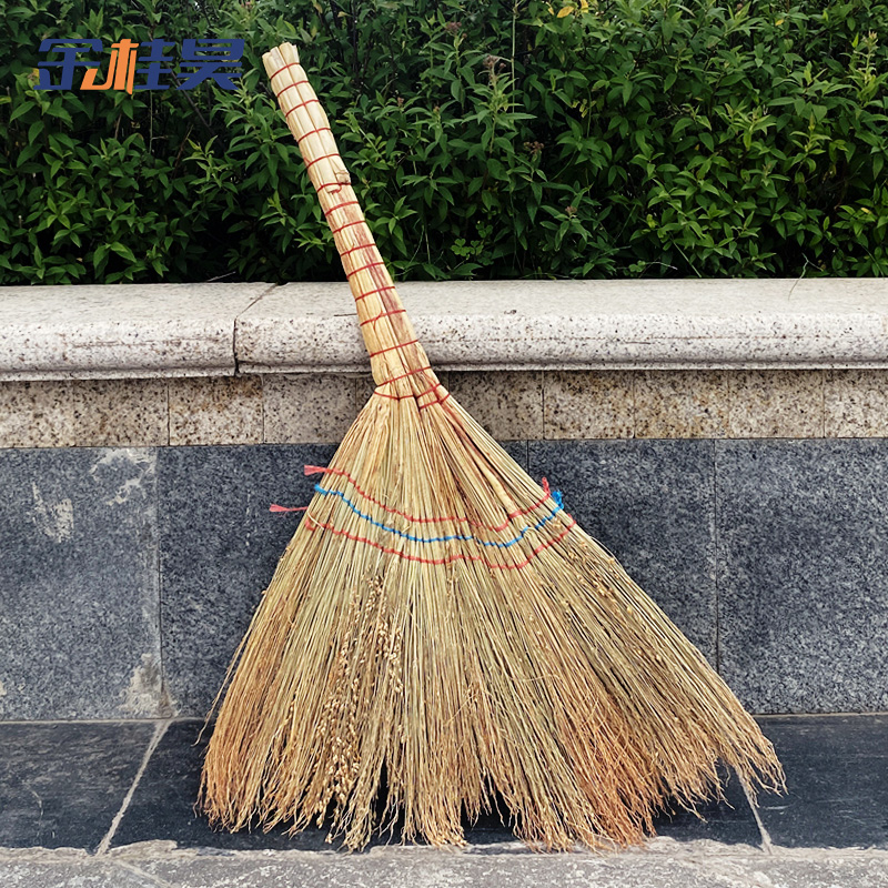 金桂昊 扫把 白净苗50cm 把高清大图