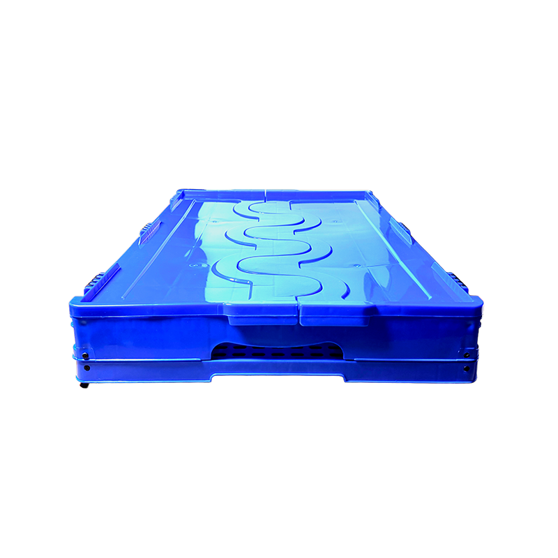 秦泰(Cqint) FSBOX-04 折叠收纳箱 60*40*28cm 50L收纳箱带盖高清大图